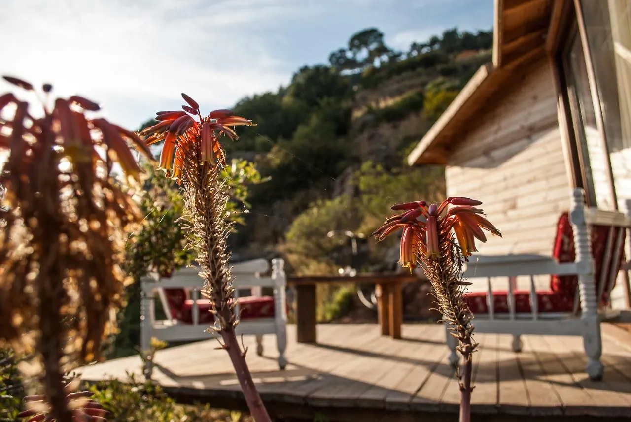 Hotel Gemile Camping Faralya 0*,
